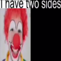 480x480