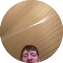 384x384