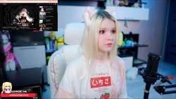 1340x754