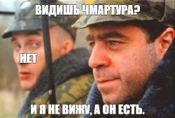 500x339