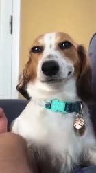 360x640