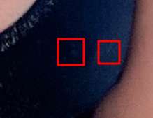 219x169