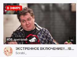 399x295