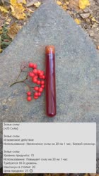 500x888