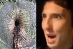 1328x889