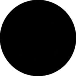 384x384