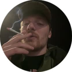 384x384