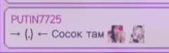 240x75