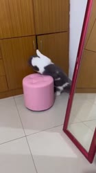360x640