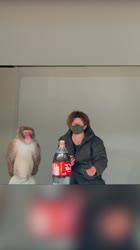 576x1024