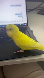 576x1024