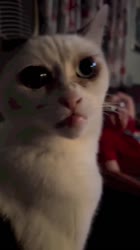 576x1024