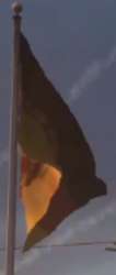 363x849