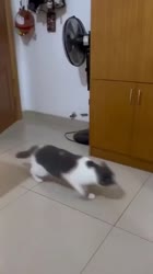 360x640