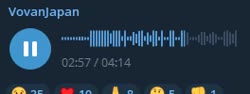 264x100
