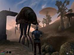 640x480