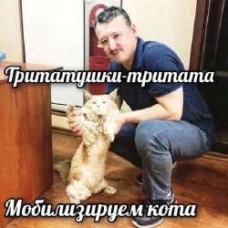 428x428