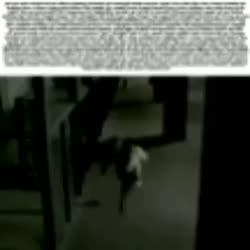 360x360