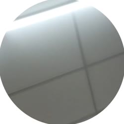 384x384