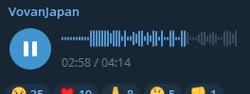 264x100
