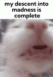 348x498