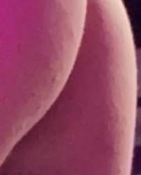 666x826
