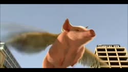 480x272