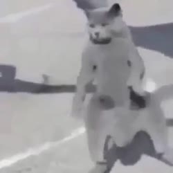 360x360