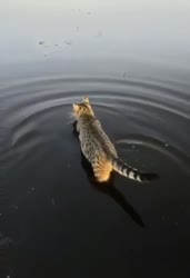 360x524
