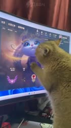 540x960