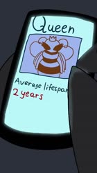 360x640