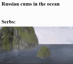 480x424