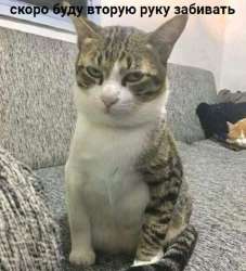 632x693