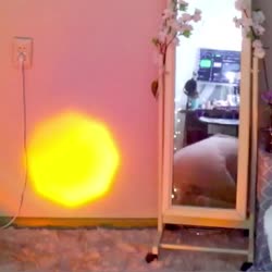 580x580