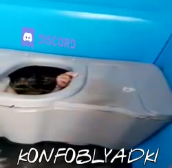 832x816