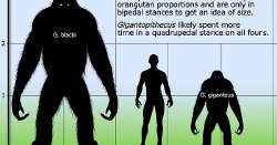 600x315