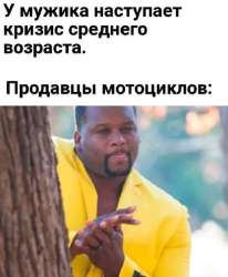 498x603