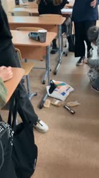 720x1280