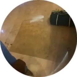 360x360