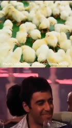 608x1080
