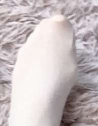 298x384