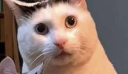 639x372