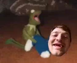 360x296