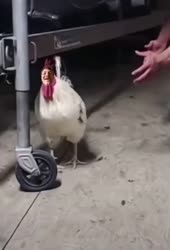 328x480