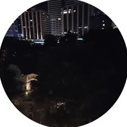 384x384