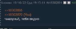 334x132