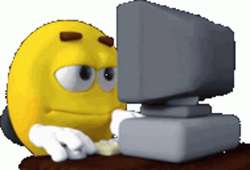 498x339