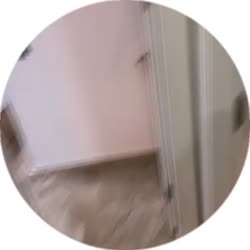 384x384