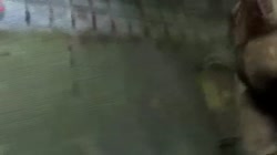 640x360