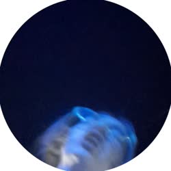 384x384